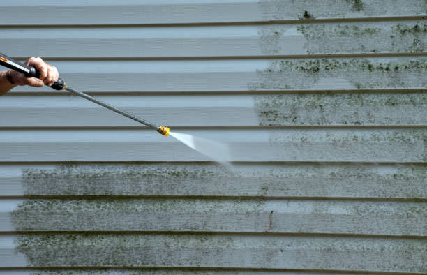 Best Attic Mold Removal  in Athena, OR