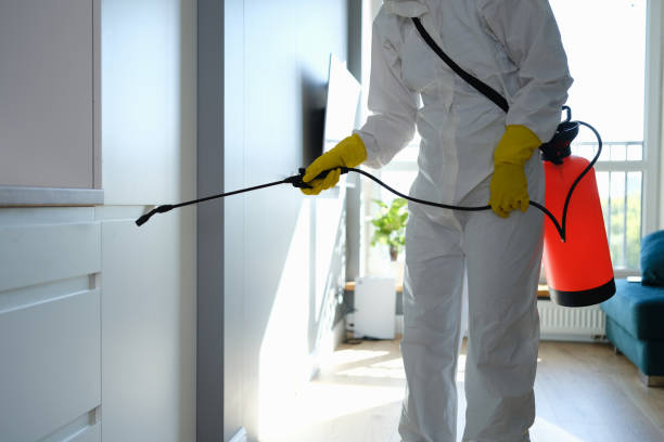 Home Mold Removal in Athena, OR