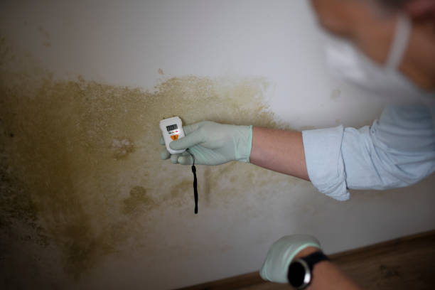 Water Damage Restoration in Athena, OR