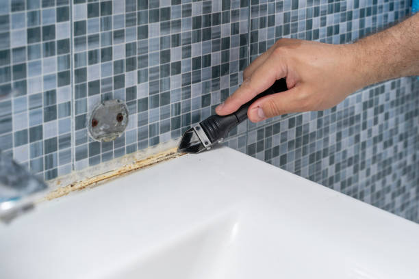 Trusted Athena, OR Mold Removal Experts