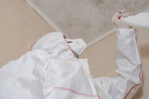 Best Mold Cleaning Services  in Athena, OR